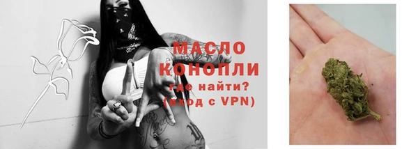 МДПВ Болотное